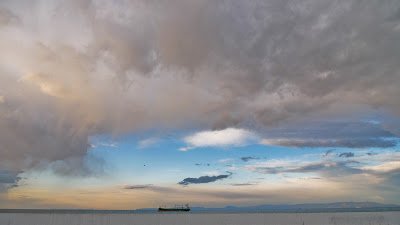 P1020165.jpg